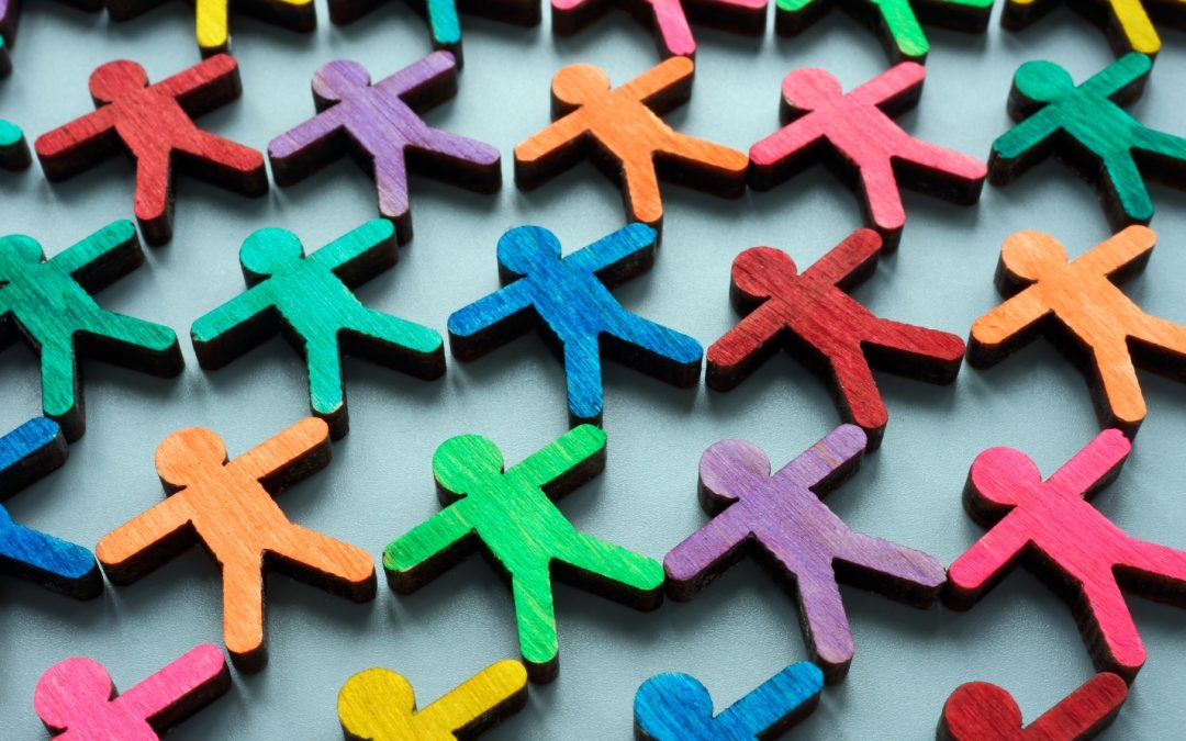 Equity, Diversity and Inclusion Update